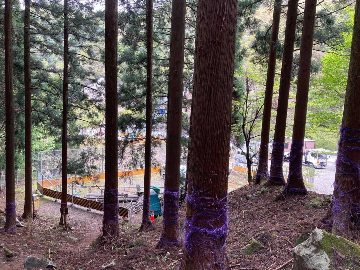 登山道から振り返って、元々の駐車場は工事車輌や囲いで使えません(°▽°)