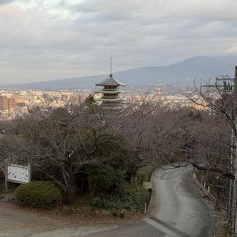 登山口付近から五重塔擬きが