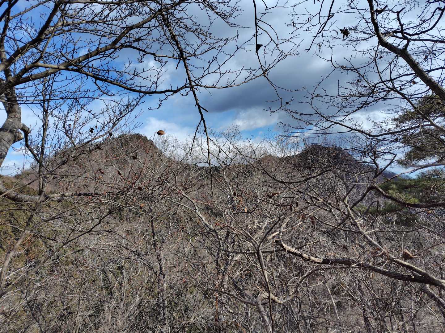 シゲト山と鞍掛山かな