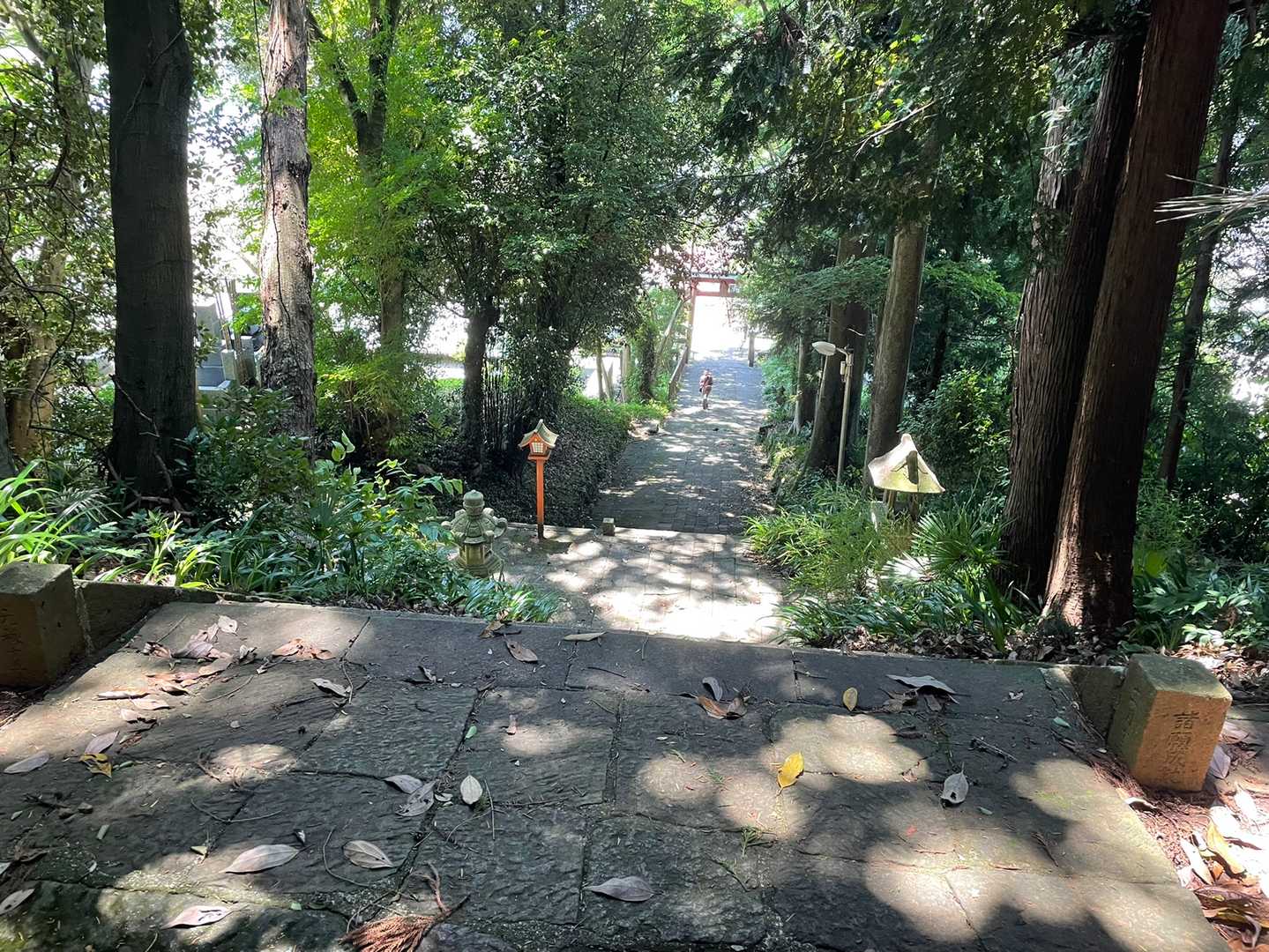 夏休みな感じ。
ゴールが近づいた。