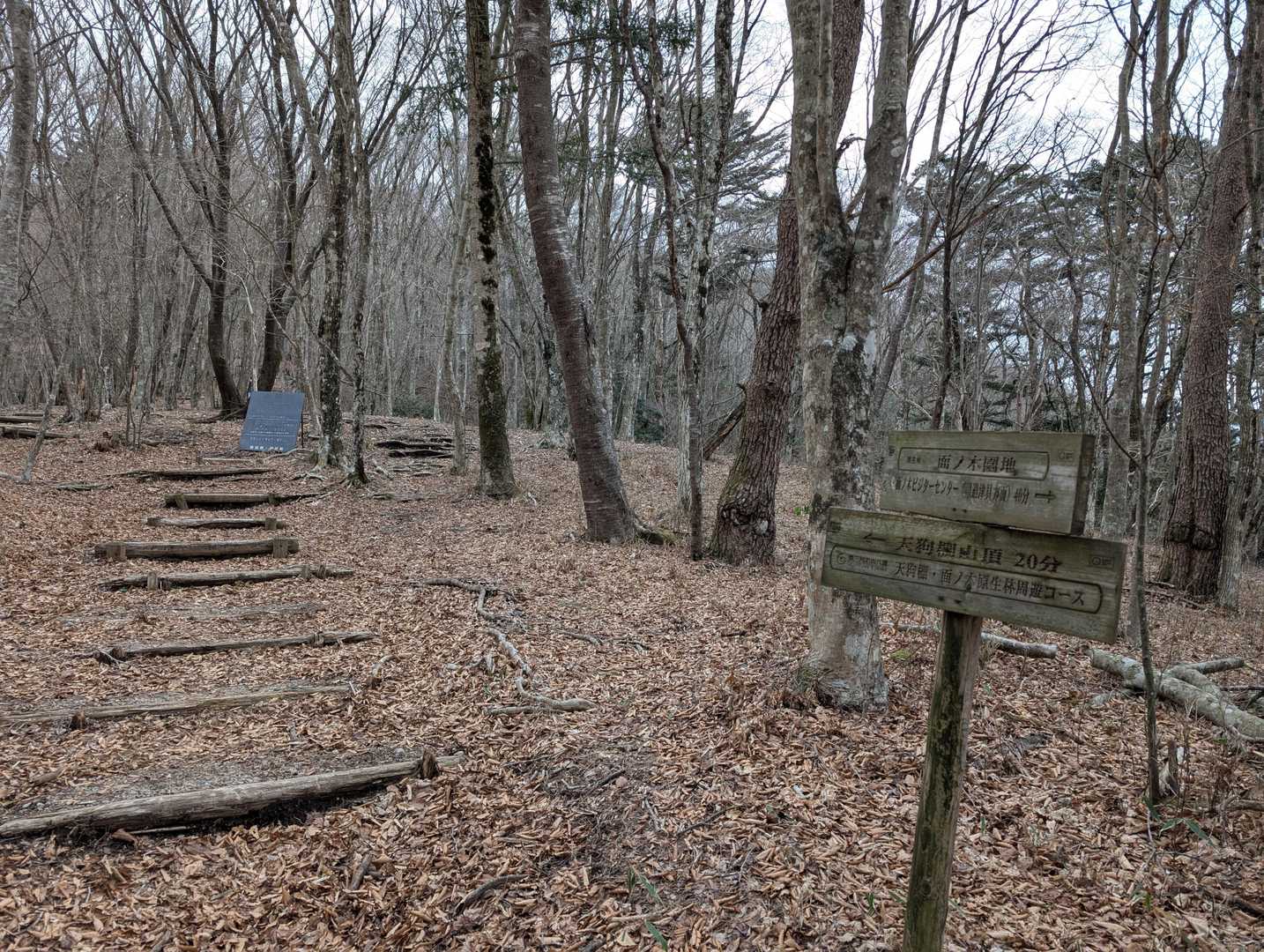 面ノ木峠登山口-天狗棚 往復コースの写真