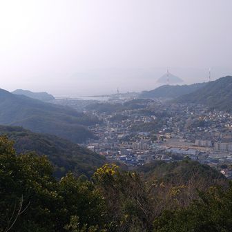 ミモザ✨️、山のアチコチに咲いています。
左は地蔵山、右は神登山、4月に友人と一緒に登る予定🚶‍♀️