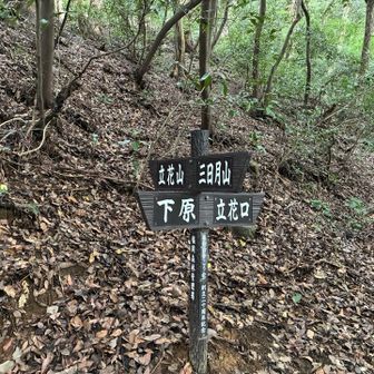 別れに来ました