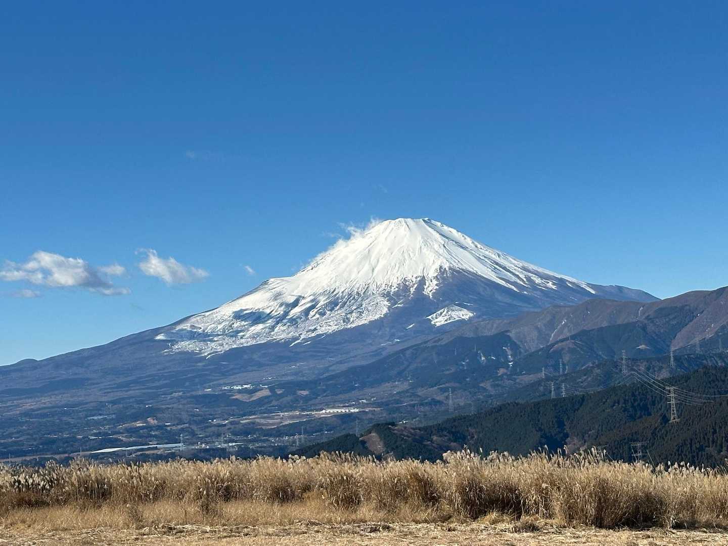 大野山 往復コースの写真