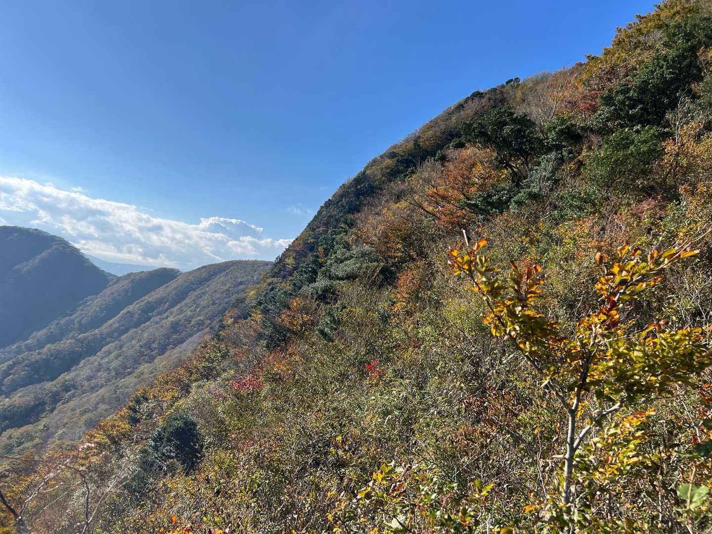 金時山コースの写真