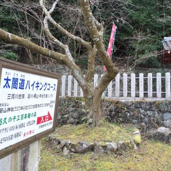 若山神社まで下ってきました😌お参りします🙏🏼