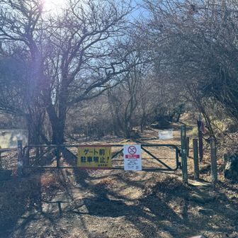 足柄峠の登山口からスタート


足柄山の金太郎🎶
の足柄です