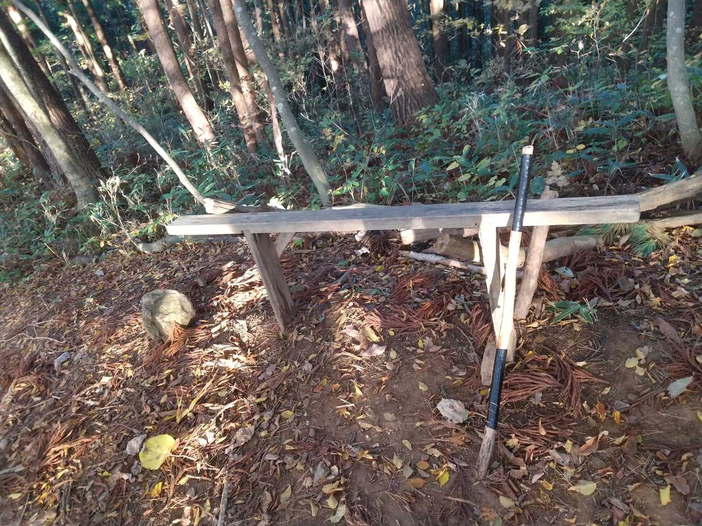 いつもの