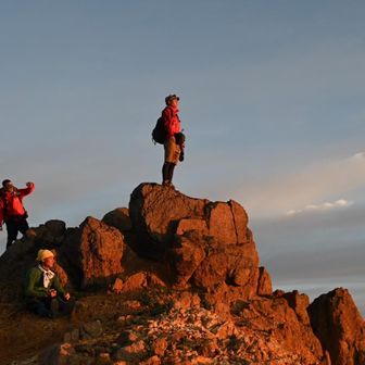 ダルビッシュ優