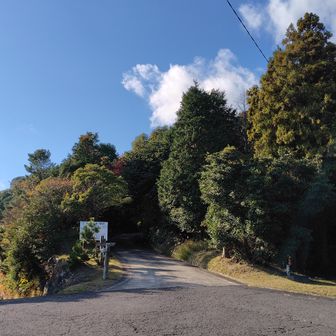 ここから先に行けば他の山にも行けますが、今日は時間的な理由でここまで。
子供の頃の私も、ここから先は一人では1回くらいしか進んだことがなかったと思います。
帰宅遅くなってバチクソ怒られたとかそんな理由。ここが子供の私のリミットライン。
今は大人なのでいつか日を改めてこの先にも。