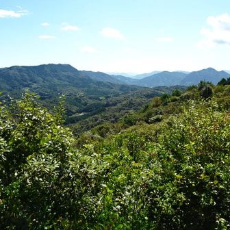 高照寺山と氷室岳