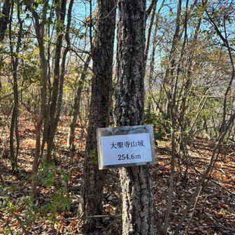 大聖寺山。このピークは、眺望はなかったかな。