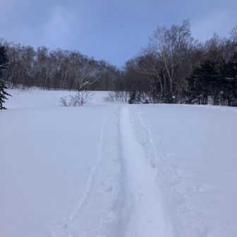 ガレ場のトレース。
帰りはもちろん尻滑り。