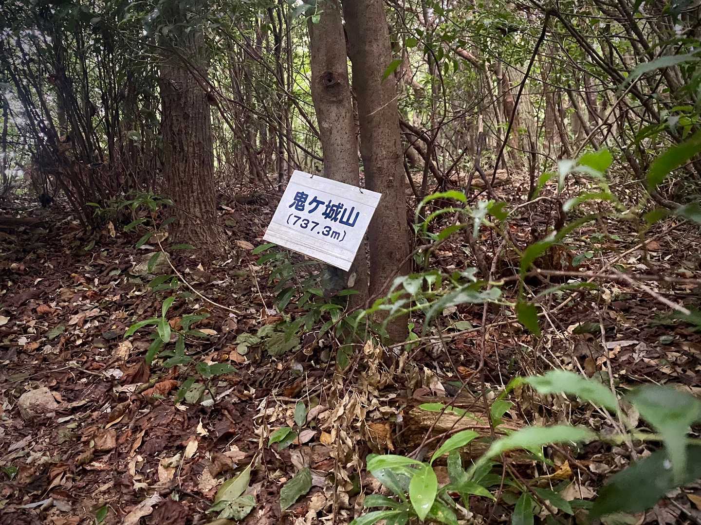 鬼ヶ城。
湾岸トレイルでるっぽい人と結構スライド