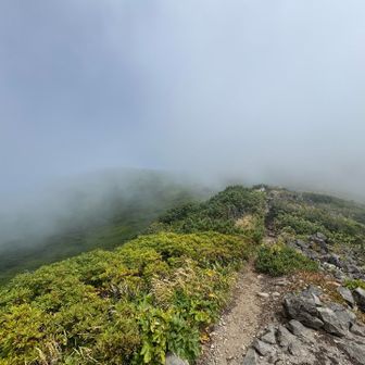 振り返って見上げると真っ白…