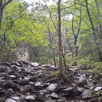見たことあるやつ見えてきた〜！！！