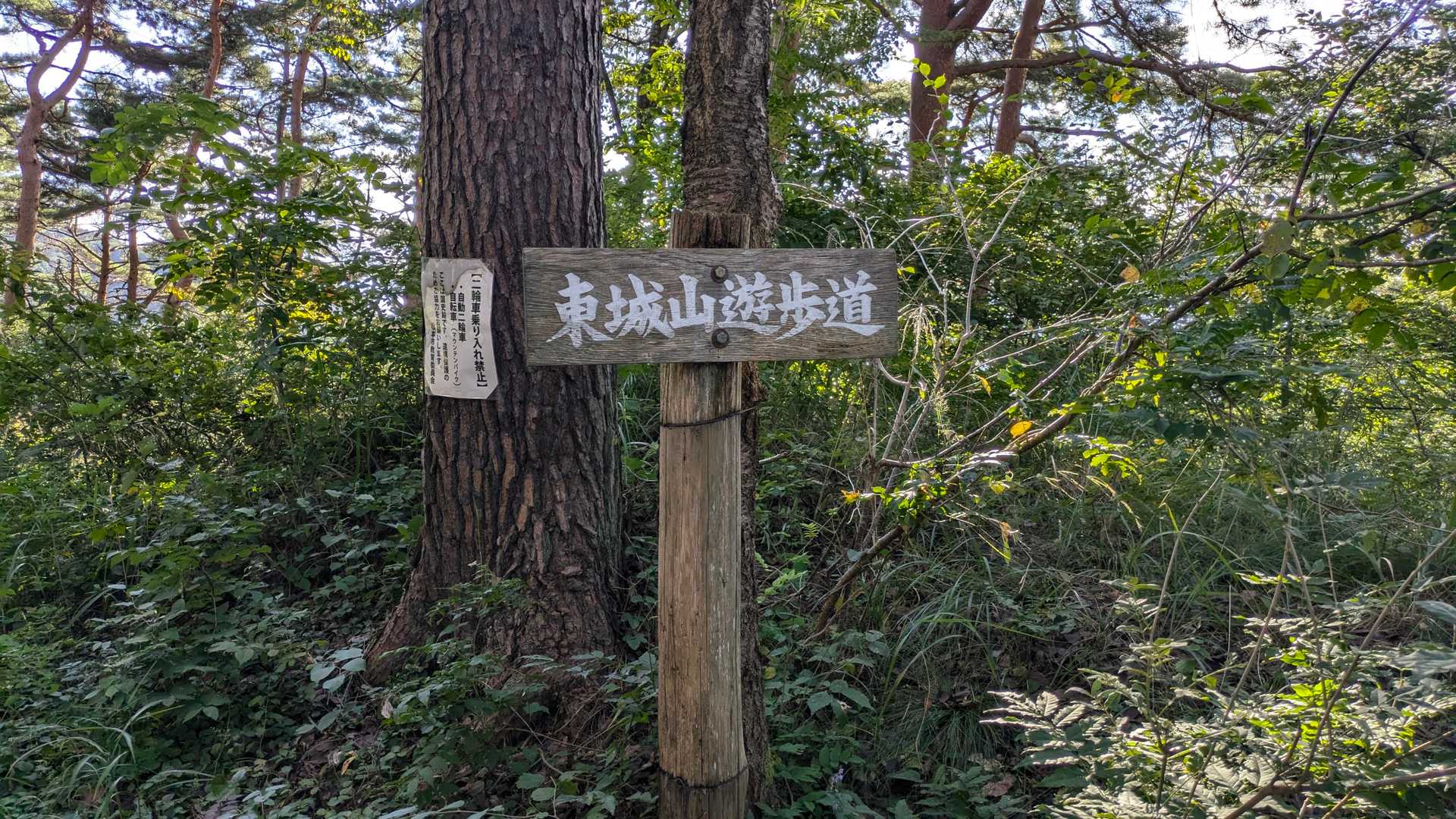 金華山 往復コースの写真