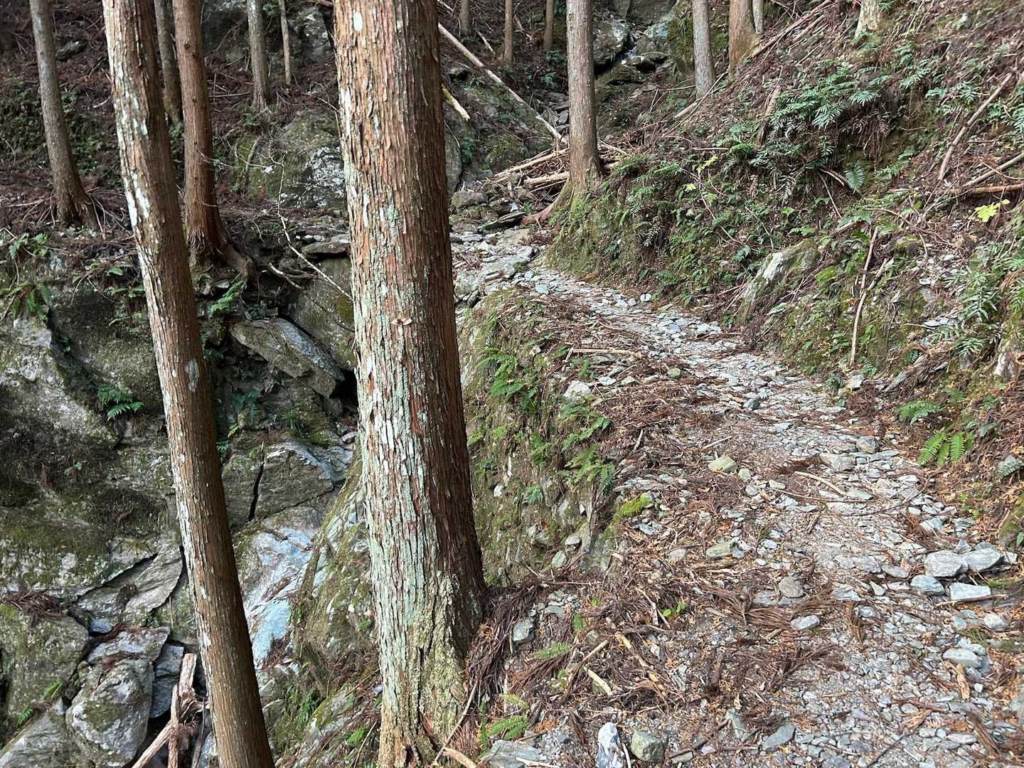 いい感じ