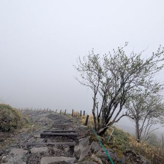 道しか見えない(ーー゛)風景ゼロ