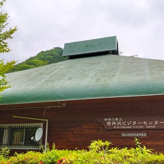 無事NTVCまで下山してきた…