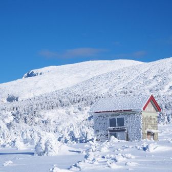 御田ノ神避難小屋

この辺りでガッケちゃんとこんたさんに
お会いする🎵