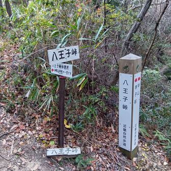 これとは別に「藤原峠」なんてのもあるようです(^o^)