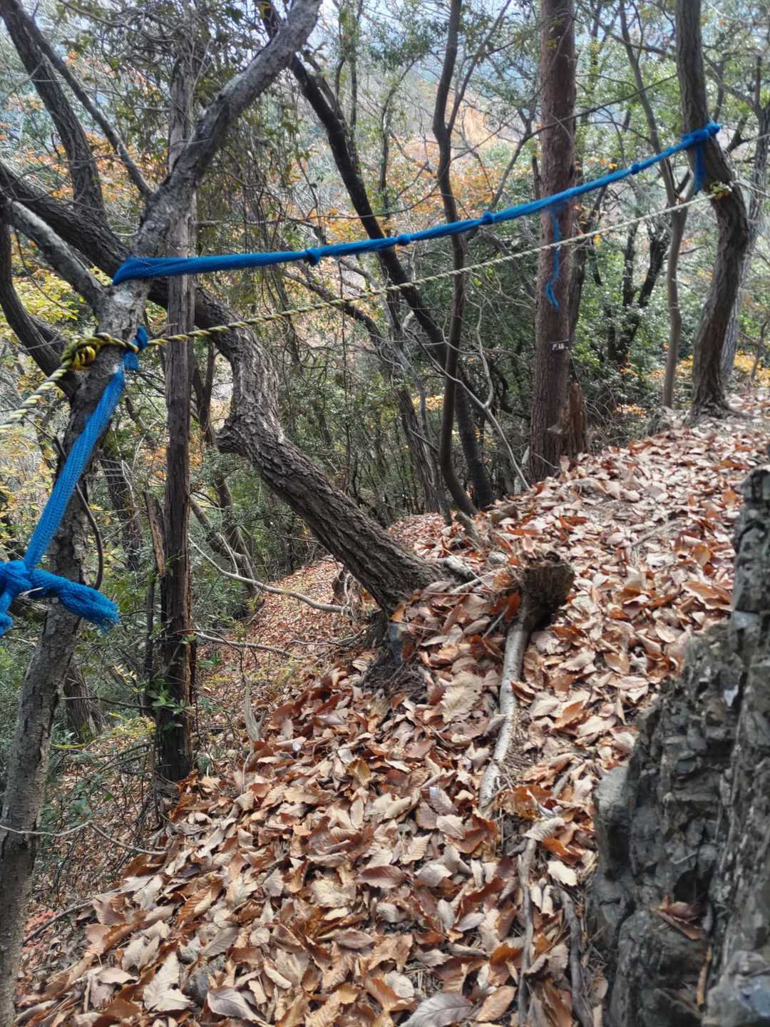 分かりにくいけど
危険⚠️