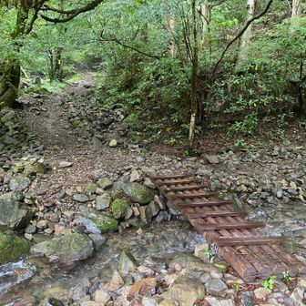 木橋を渡り砂利窪沿いの登山道を進みます