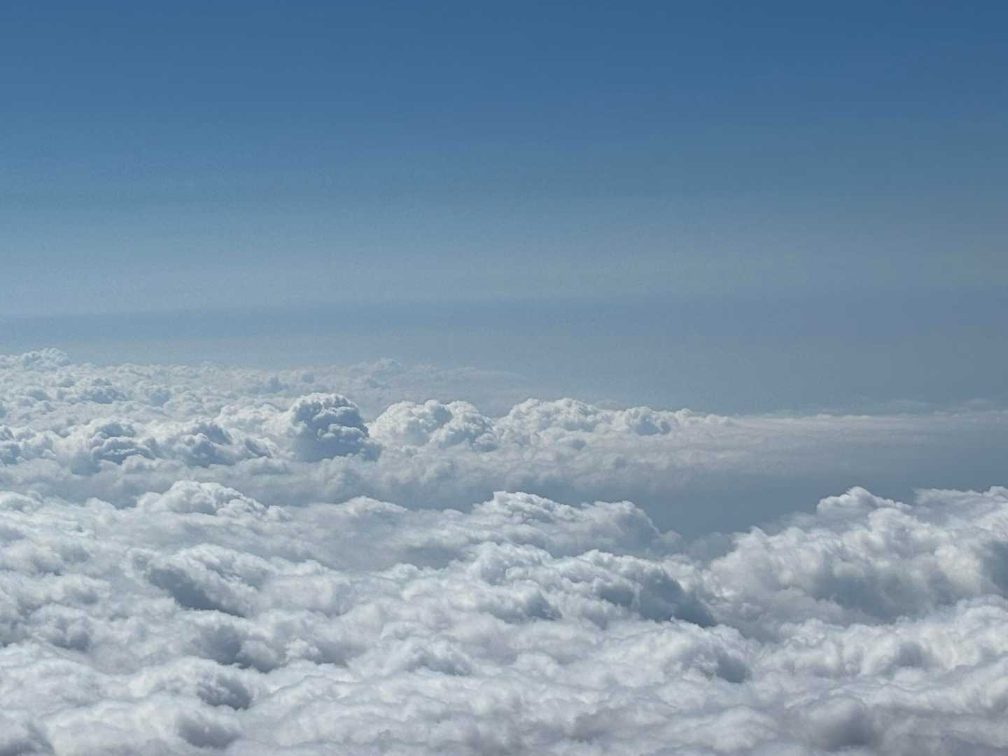 ボクは　くぅも〜雲〜くぅも、くも〜♪