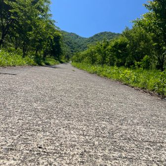 勝原登山口に戻ってきました♪

(金剛山の伏見峠ルートを歩いたばかりなので距離短いししんどくなかった✌️)


