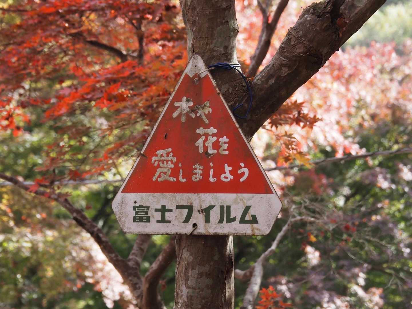 せせらぎ荘前バス停-牛滝山バス停-第十経塚「大威徳寺 法師 往復コースの写真