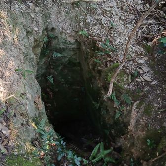 この山、あっちこっちに穴が開いてます。江戸時代に雲母を採掘してたそうです。