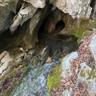 無双洞、キレイな水が洞窟から出てる✨
水補給できました👍