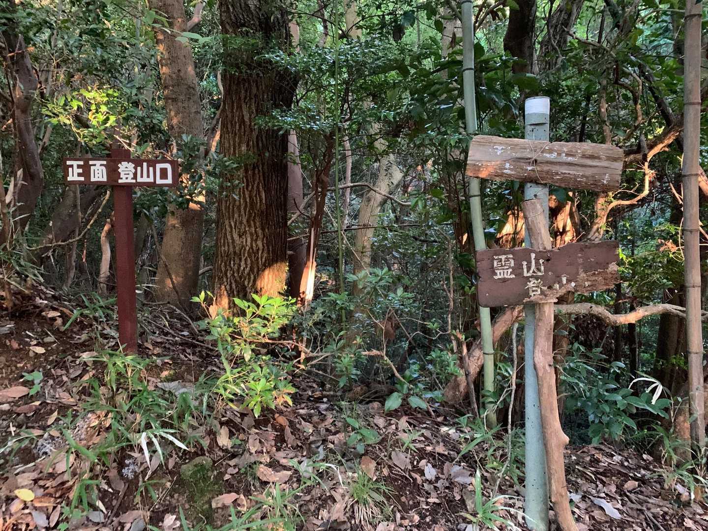 登山口。右側看板書体が素敵