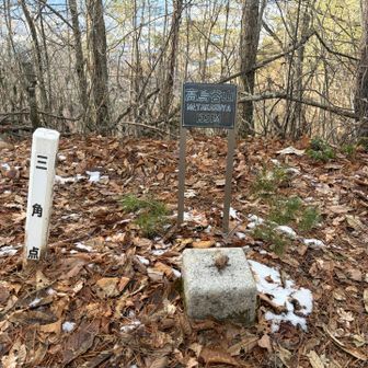 お正月仕様なわけですね🎍