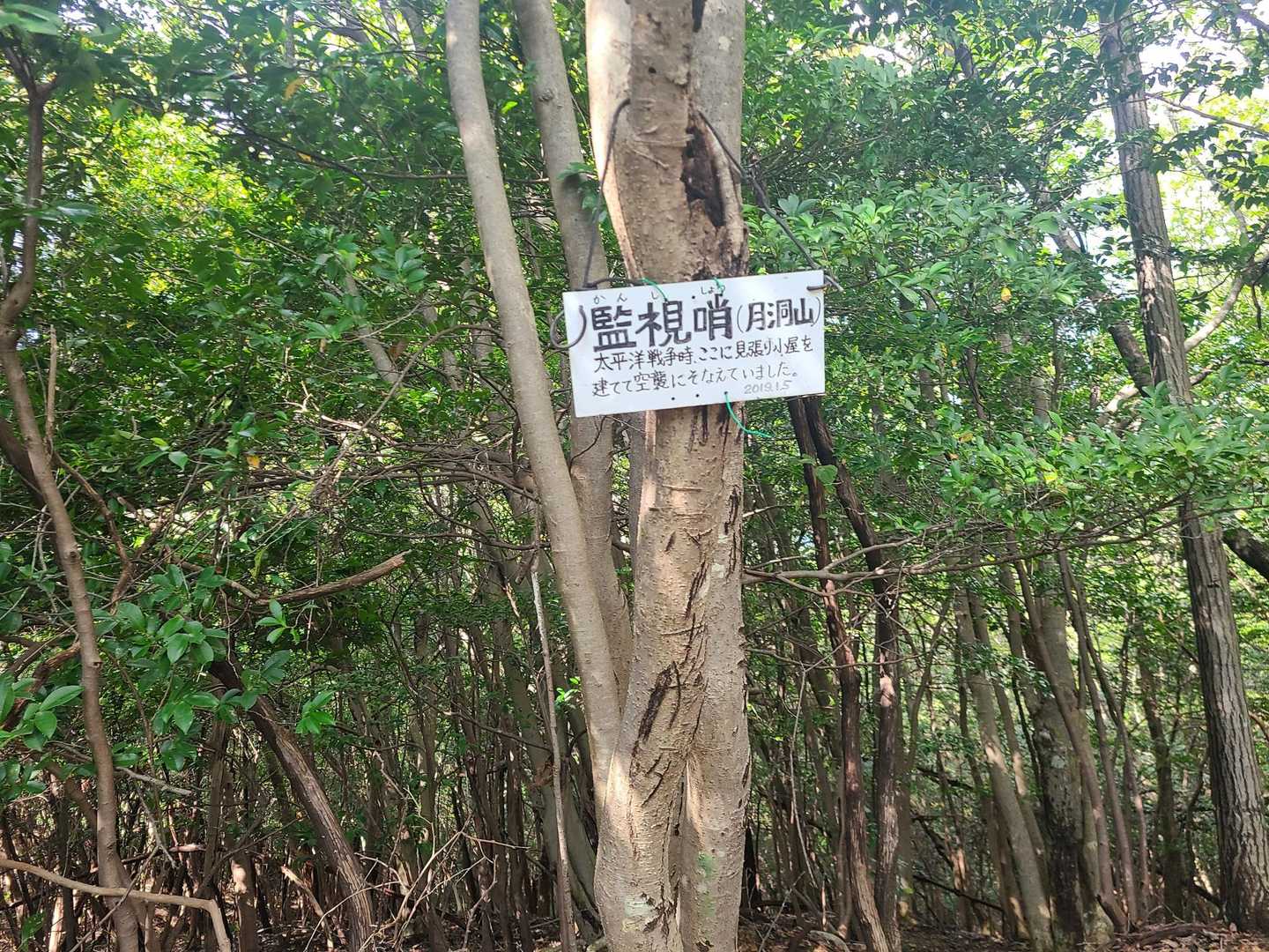 大平山 往復コースの写真