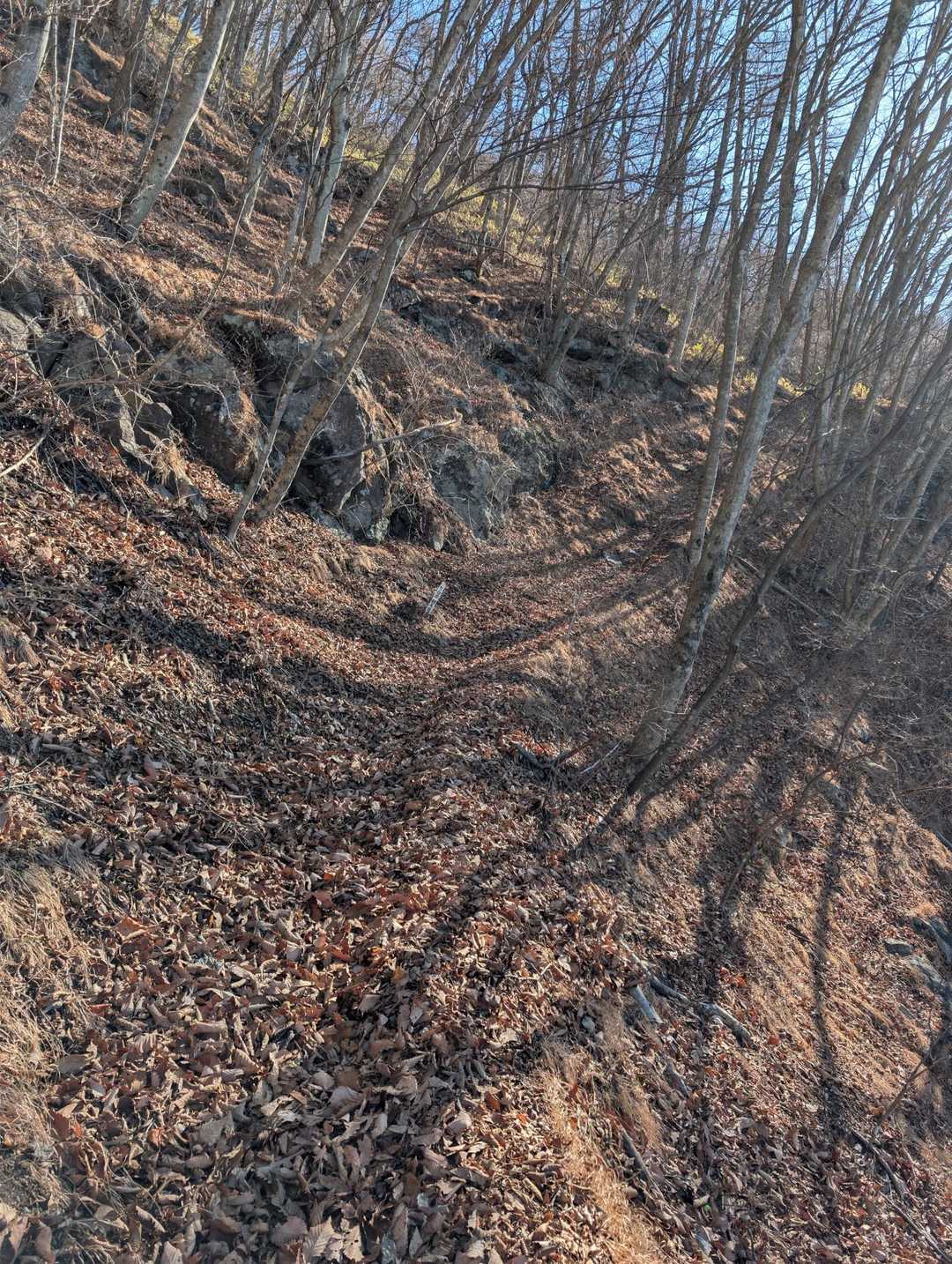 枯葉が沢山🍂、滑らない様に気を付けて歩きます