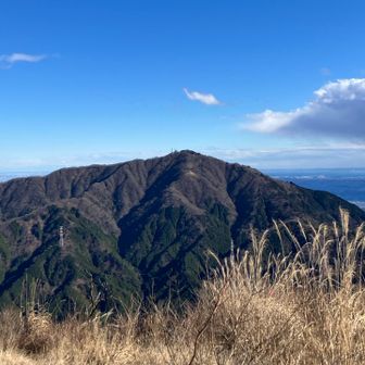 大山は混んでるのかな