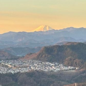 近くでみればよかった