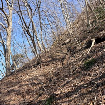 迂回路も急で危なっかしい道