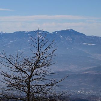 暫く登り樹林帯を抜けると見晴らしのよい場所に出ました。
車坂山付近からの眺め