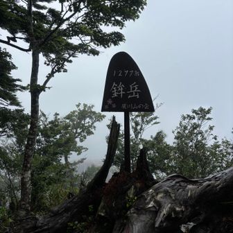 あっちゅうまに着いた⛰️