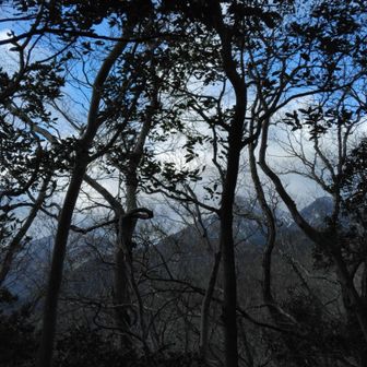目視では隙間からゴザカマ見えます