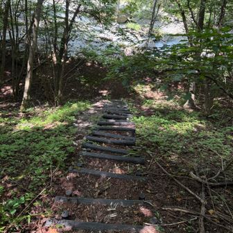 この階段を降りて河原に降りたら、30mぐらい川下に歩くとマーキングされた木があり、そこが渡渉箇所です。