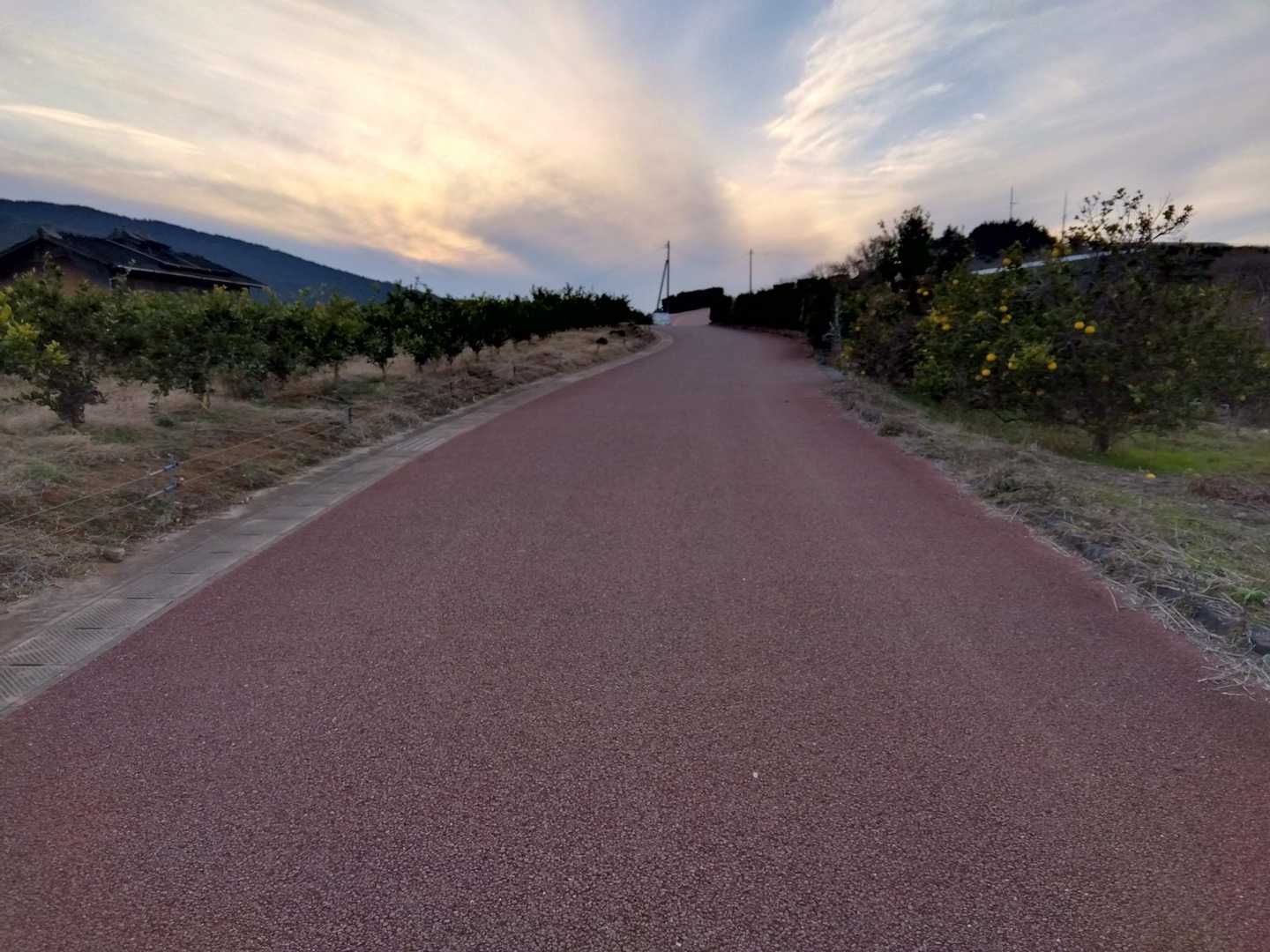 整備された遊歩道を行く😙