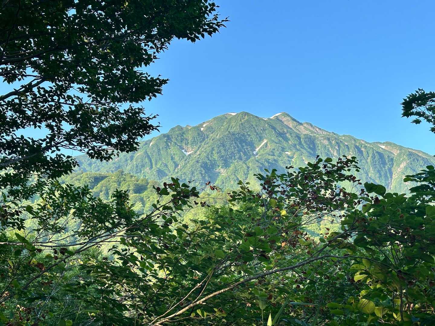 駒ヶ岳登山口-小倉山-百草ノ池-越後駒ヶ岳 往復コースの写真