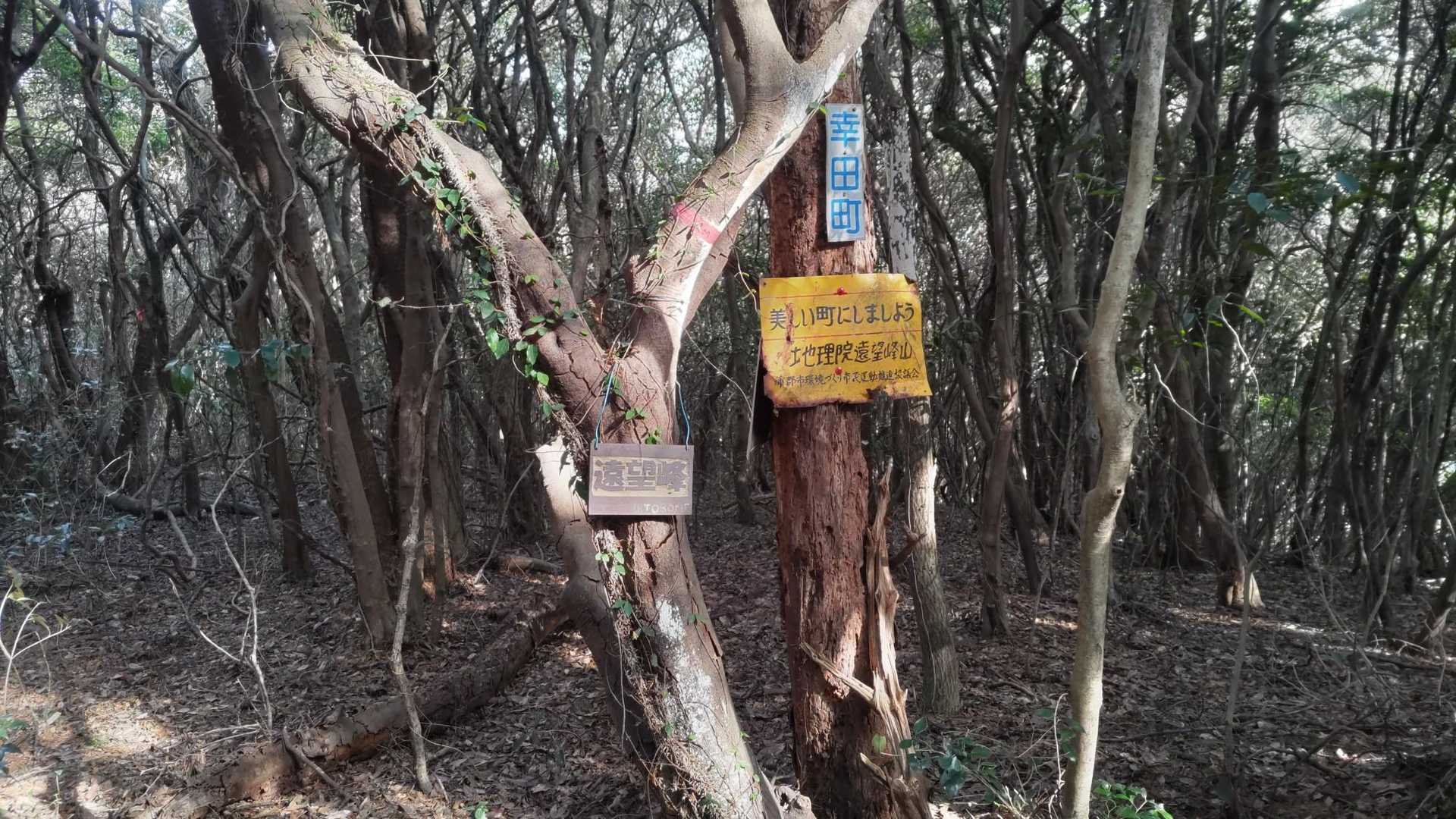 ココも眺望なし