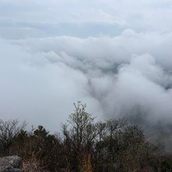 モクモク曇り☁️