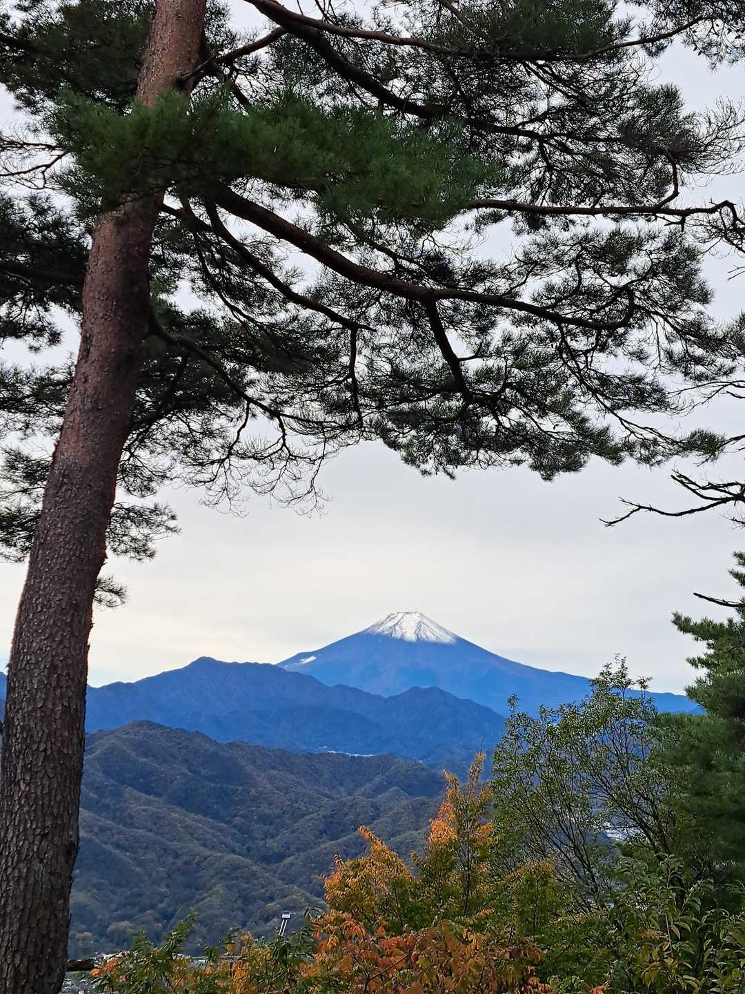良い景色🗻