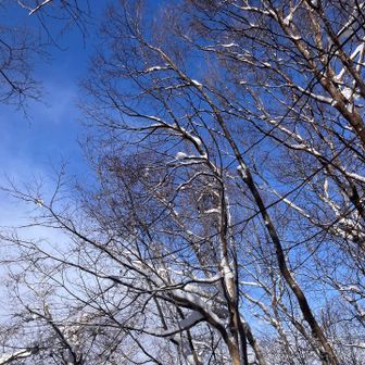 今日も　素敵な一日だったなあ〜
ケネウシさん達　ケアちゃん
ありがとう😊